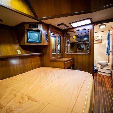 Luxury 50